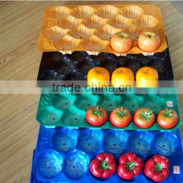 High Quality SGS Certificate PP Apple Tray