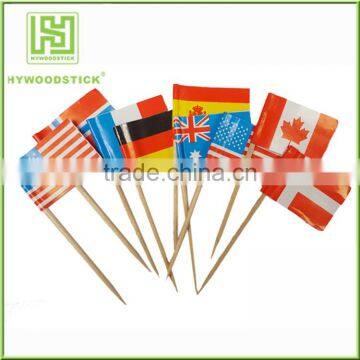 Country Flag Toothpick