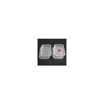Eco-Friendly Container for food packing