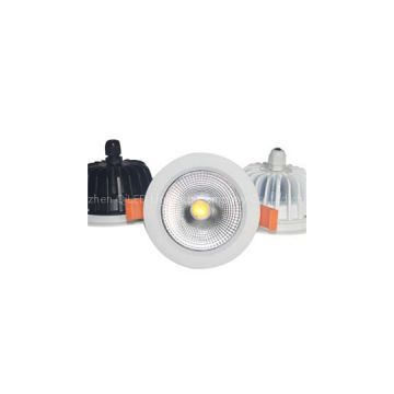 12W IP65 COB Downlight