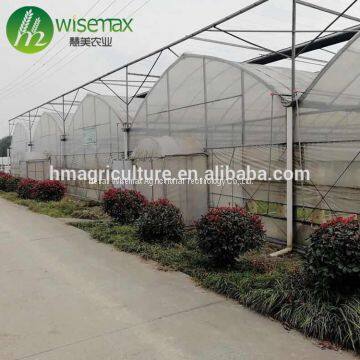 China factory plastic film covering multi span tunnel greenhouse