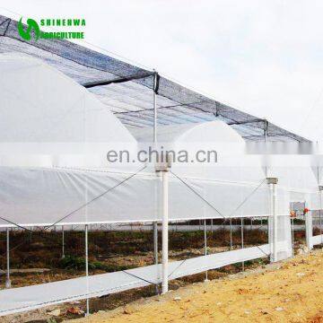 Agriculture Film Greenhouse/ Greenhouse Equipment/Greenhouse Glass Panels for Sale