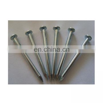 Standard nails supplies zinc galvanized iron concrete nails 1 inch 2 inch in China