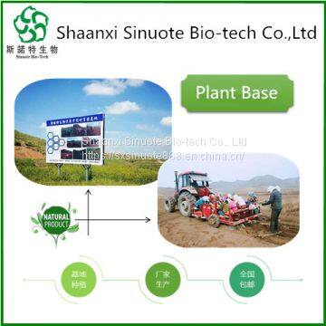 Mulberry Fruit Concentrate Extract for Food Supplement photo-2