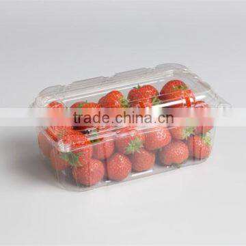 Food safty hot selling clear disposable PET box .plastic packaging box.salad box. the best supplier in China mainland