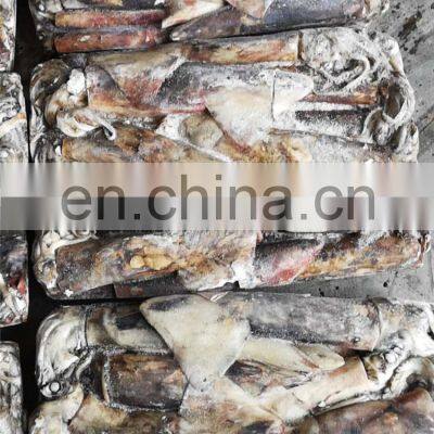 Whole Round Frozen Giant Squid Peru Giant Squid Dosidicus Gigas photo-2