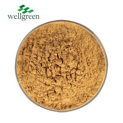 Plant Extract 30%-60% Sarsaponin Yucca Powder Yucca Schidigera Powder Extract photo-2