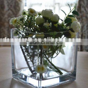 Plant Pot Rectangular Glass Vase