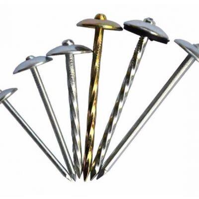 Umbrella Head Roofing Nails With Washer - 2.5inch for Industrial Use photo-1