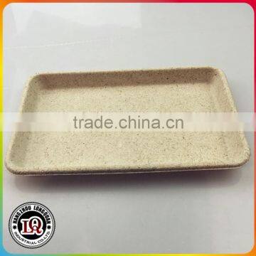 Big Biodegradable Sugar Cane Pulp Rectangle Plate