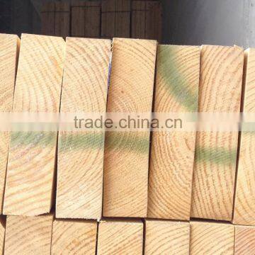 radiata pine