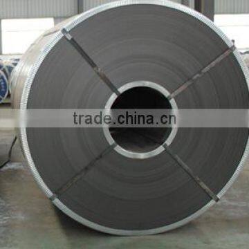 Prepainted Galvanized Steel Coils/PPGI