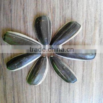 High Quality Sunflower Seeds 2015 crop