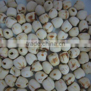 White Dried Lotus seed