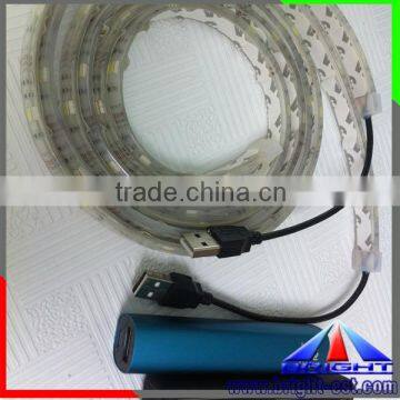 ShenZhen Factory Storefront Led Lights RGB 5050/3528 5v/3.7V Led Strip Light With RF Controller photo-2