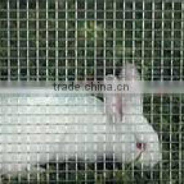 Black&Green Plastic Poultry Chicken Fencing Net/Animal Fence photo-6