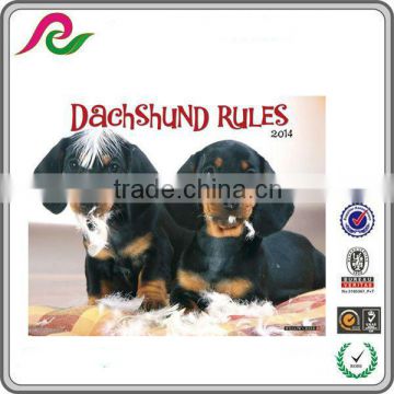 Dachshund Puppies 2014 Wall Calendar Cute Printing