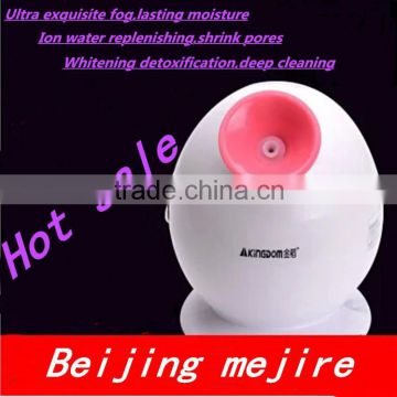 Home use mini deep cleaning/whitening facial steamer beauty machine