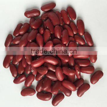 canned red white kidney bean 400g, canned baked bean