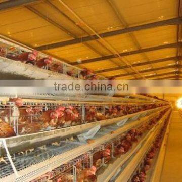 Turnkey Poultry Farm Projects for Feeding Layers