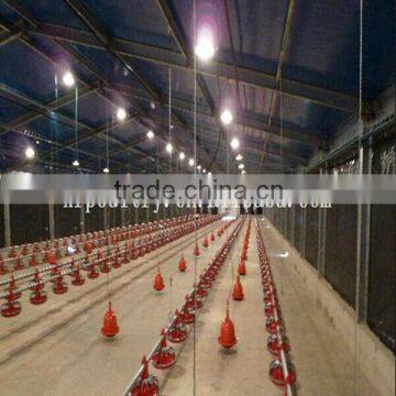 Steel structure broiler house and all equipments for chicken meat