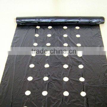 The Film Crew Coextrusion Machine