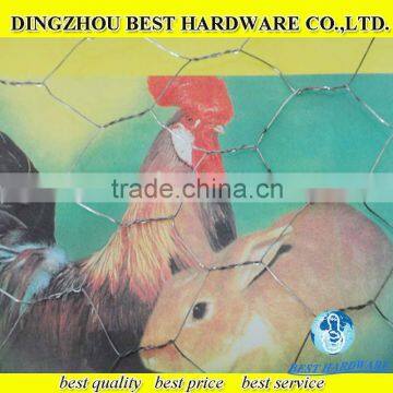 Low Price Electro Chicken Wire Mesh Philippines