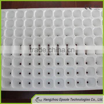Professional Factory Made Eps Shape Moulding photo-2