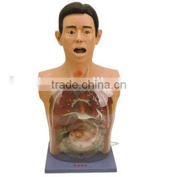 Advance Transparent Gastric Lavage Simulator