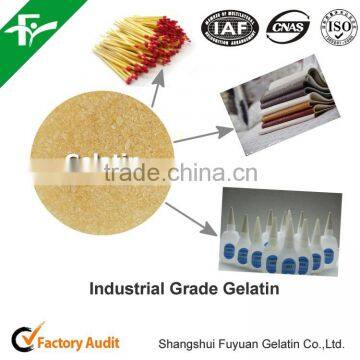 CAS#9000-70-8 Gelatin Manufacturer photo-4