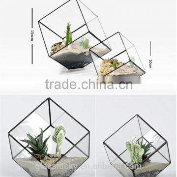 Round Terrarium Glass. Geometric Glass Terrarium Wholesale Container photo-5