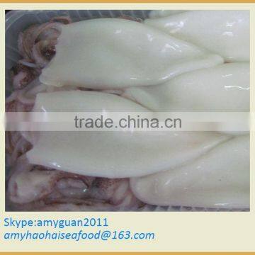 Frozen Squid T+T size 3/5 (Loligo Chinese)