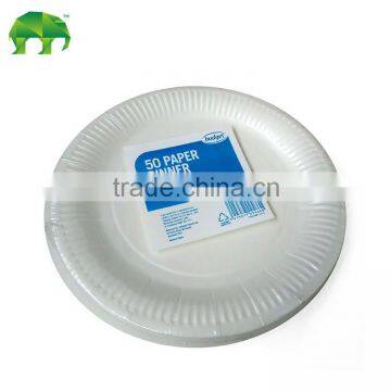 Disposable paper plate