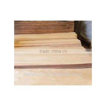 4*8 Rotaryt Cut Natural Birch Veneer With Real Factory in India Market