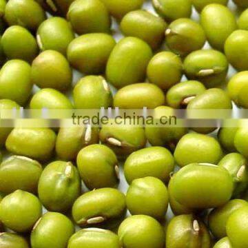 Green Mung bean/green beans