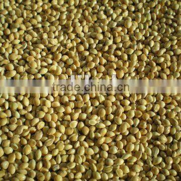 Yellow Millet