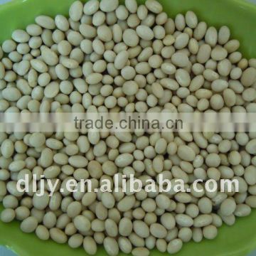 Navy White Kidney Beans