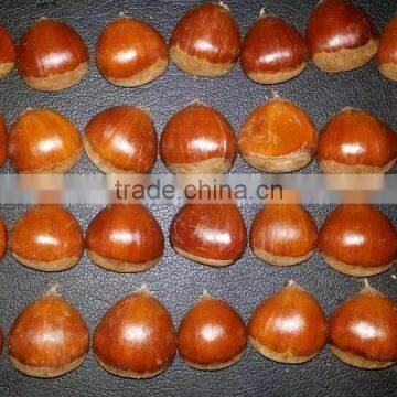 Chestnut 140-160 pcs Specification to Italy Market