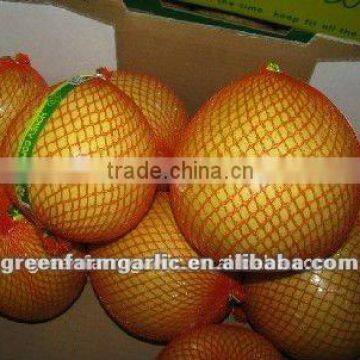 Fresh Pomelo for sale