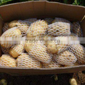 Fresh Holland Potato(100-150g/pc)