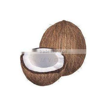 Coconut Oil
