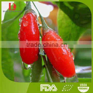 ningxia organic dried Chinese wolfberry/bulk goji berries