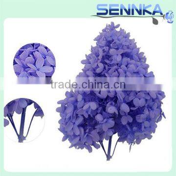 Wholesales purple preserved hydrangeas