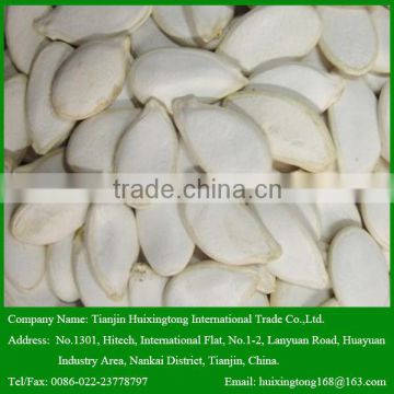 Chinese Snow White Pumpkin Seeds for Human Snack : 10mm, 11mm, 12mm, 13mm