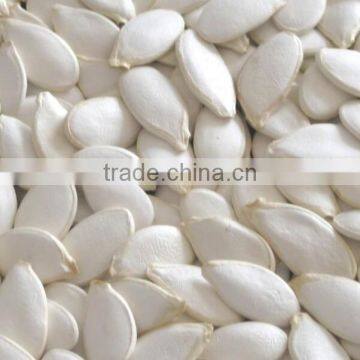 Snow White Pumpkin Seeds 9-14CM, 11-13MM photo-3