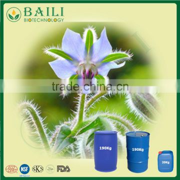 Healthcare supplement borage seed oil for cooking