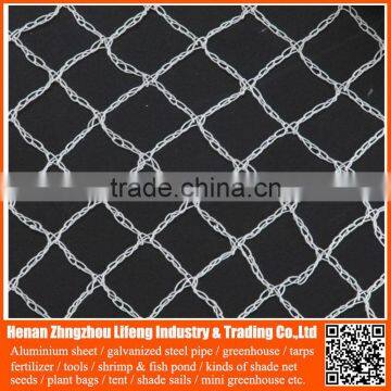 Offer 100% New Hdpe Netting Fabric , Anti Bird Nets for Catching Birds photo-4