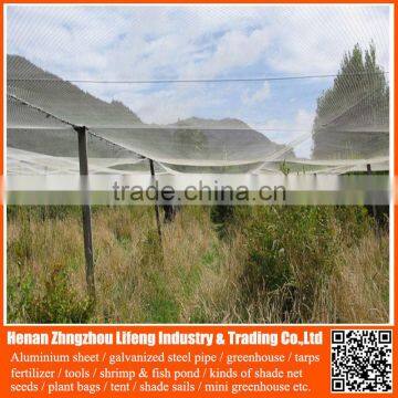 top quality hdpe anti uv greenhouse anti bird net , nylon agricultural bird netting , plastic green bird control screen mesh net