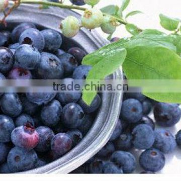 b12 vitamin Acai Berry