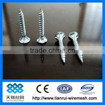 nail/common wire nail/iron nail